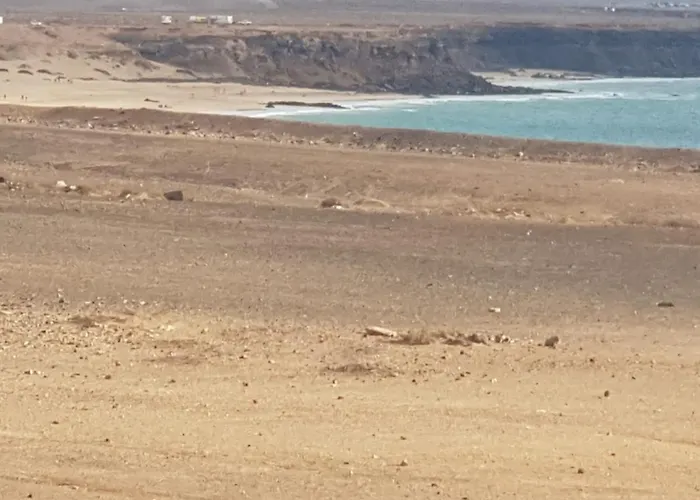 Family アパート Cotillo